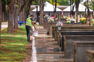 Maringá aprova lei que autoriza enterro de cães e gatos com tutores em cemitérios