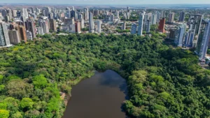 Maringá aprova metodologia inovadora para avaliar custos ambientais em compras públicas