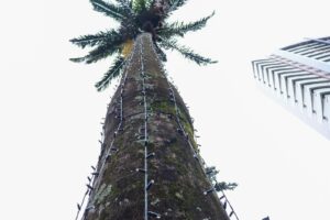 Maringá começa preparativos para Natal 2026 com instalação de iluminação temática