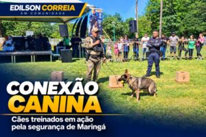 Maringá exibe trabalho de cães treinados em segurança pública no Parque Buracão