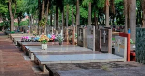Maringá pode autorizar sepultamento de pets em cemitérios municipais