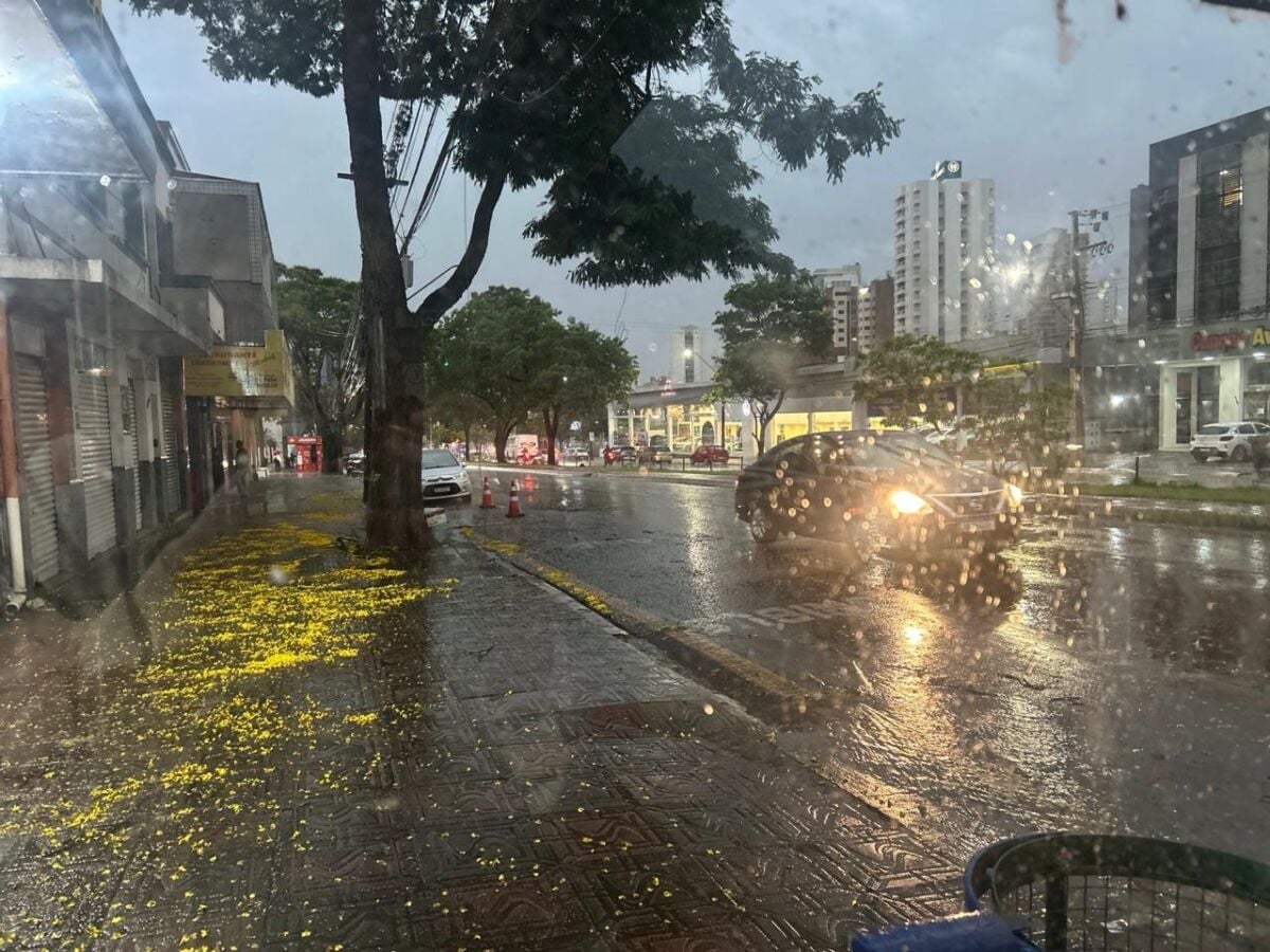 Maringá supera chuvas de outubro em apenas 13 dias