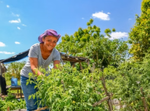 Mulheres rurais paranaenses conquistam protagonismo na agroindústria familiar