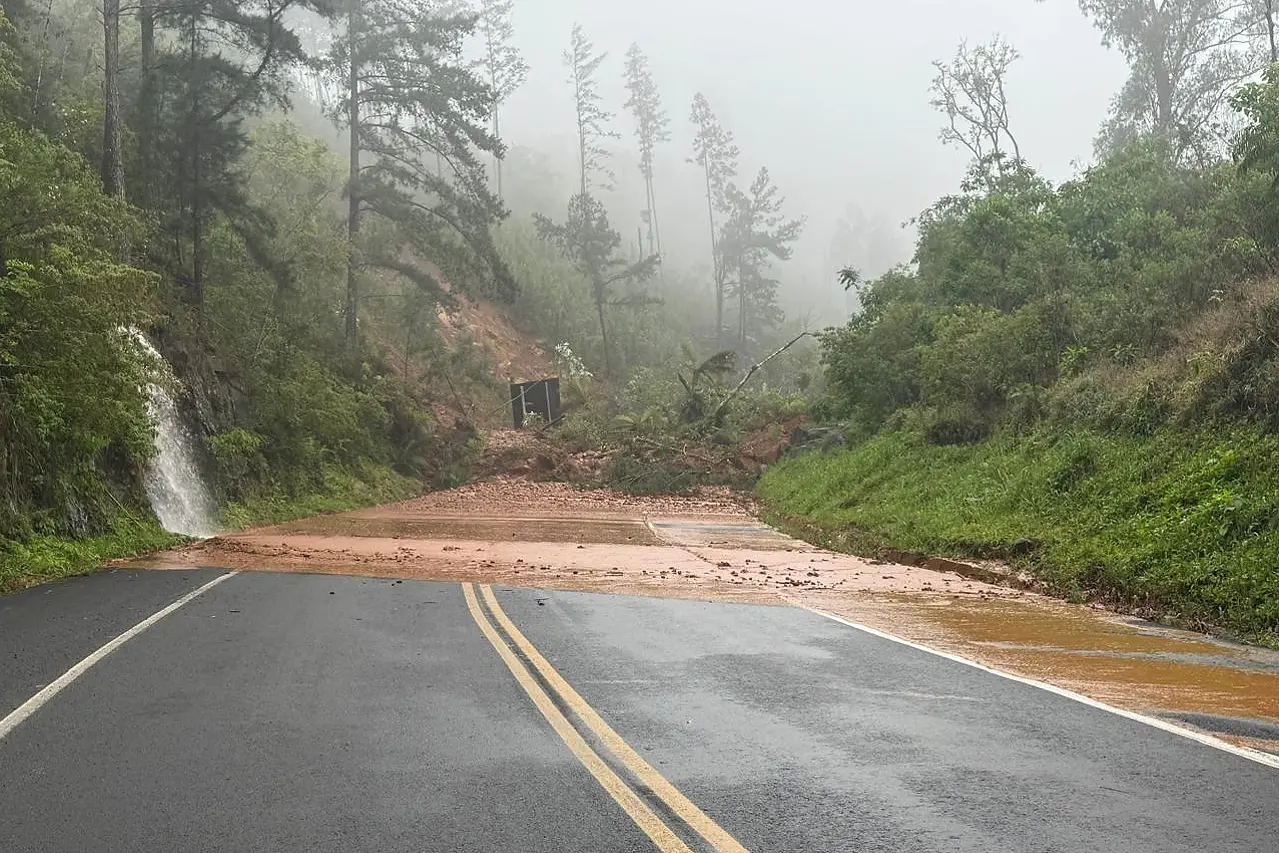 Paraná intensifica operações de limpeza nas rodovias estaduais