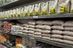 Paraná investe R$ 40,8 milhões para abastecer 2.080 escolas com alimentos