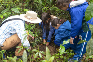 Paraná recebe formação gratuita em sustentabilidade para mais de 119 cidades