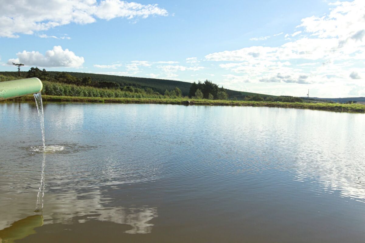 Paraná revoga regra de monitoramento intenso de água no campo após pressão do setor agrícola