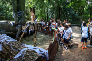 Parque do Ingá recebe mais de 60 mil pessoas na exposição Primavera Encantada