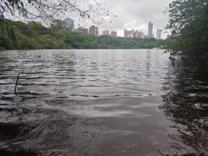 Parque do Ingá volta a ter níveis adequados de água após intervenções