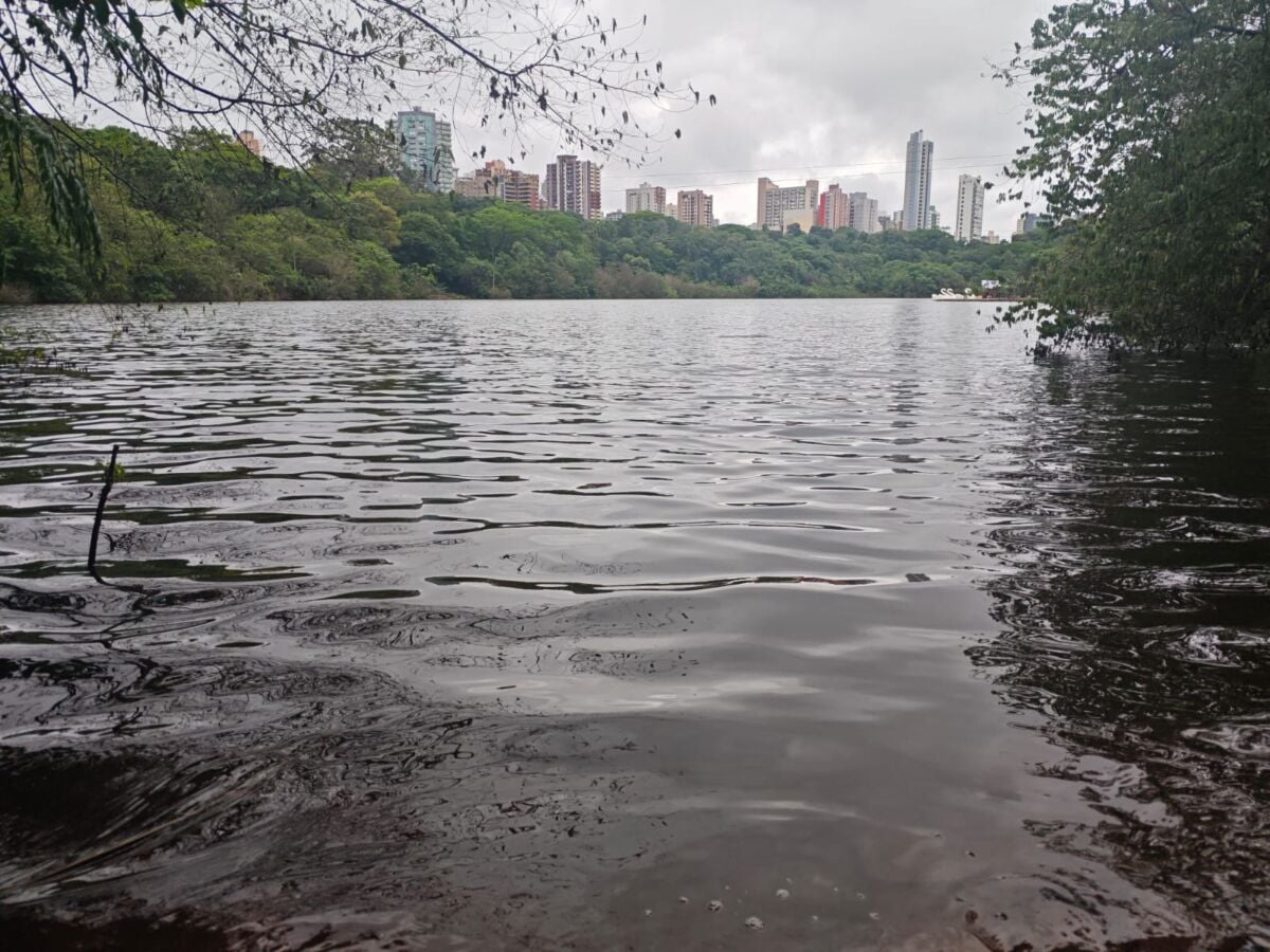 Parque do Ingá volta a ter níveis adequados de água após intervenções