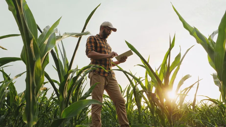 Profissionais de Agronomia Impulsionam Brasil como Potência Alimentar Global