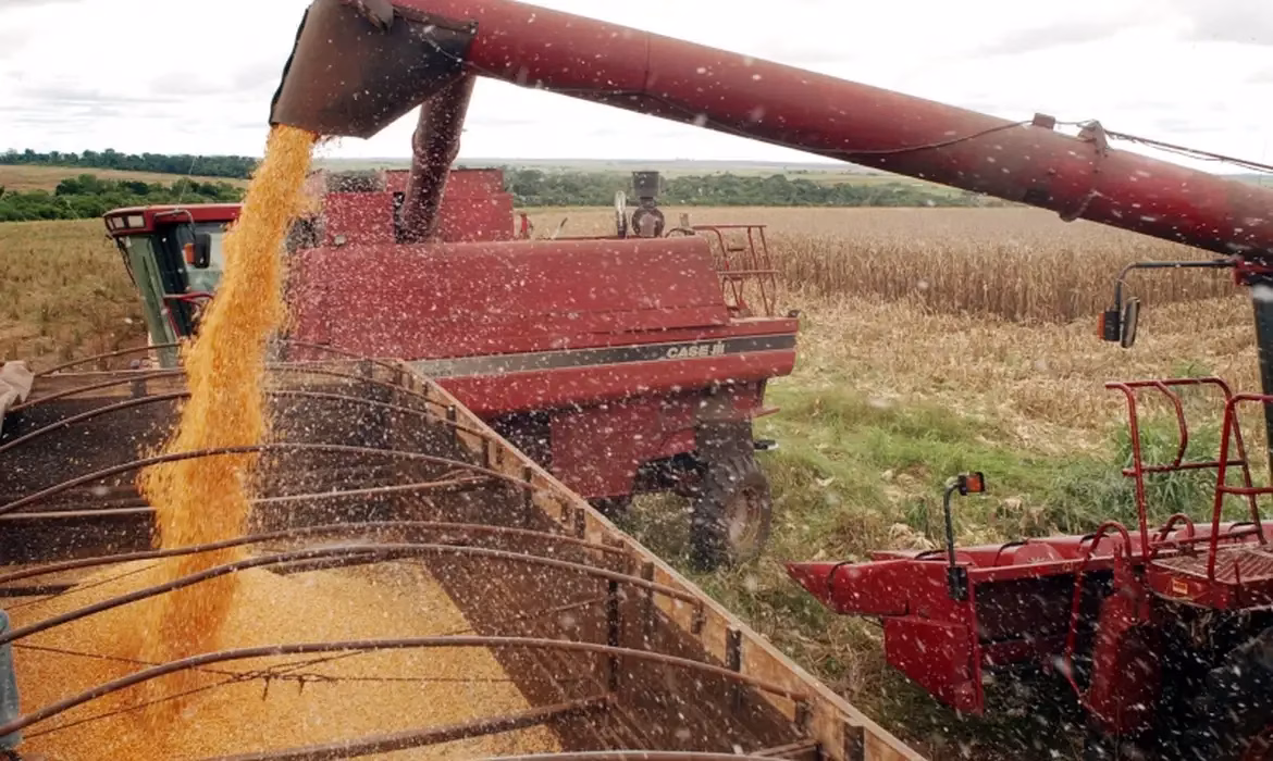Soja custa R$ 139 por saca em Maringá; confira cotações agrícolas